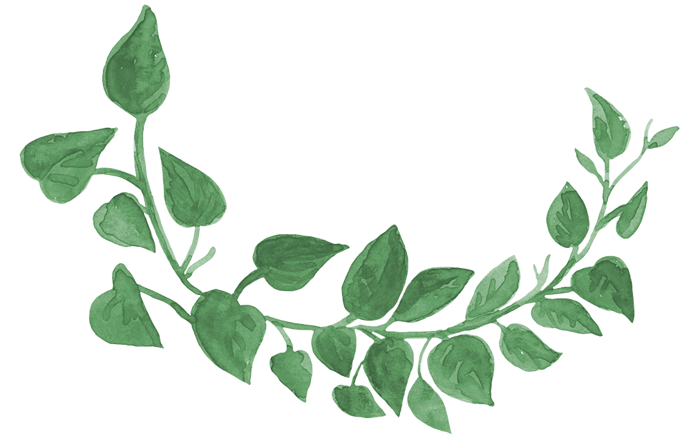 climbing plant1b curve