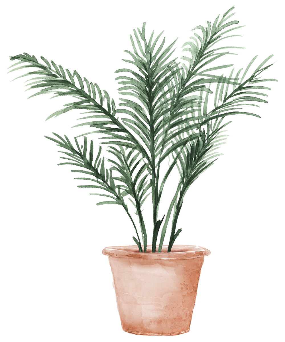 palmtree
