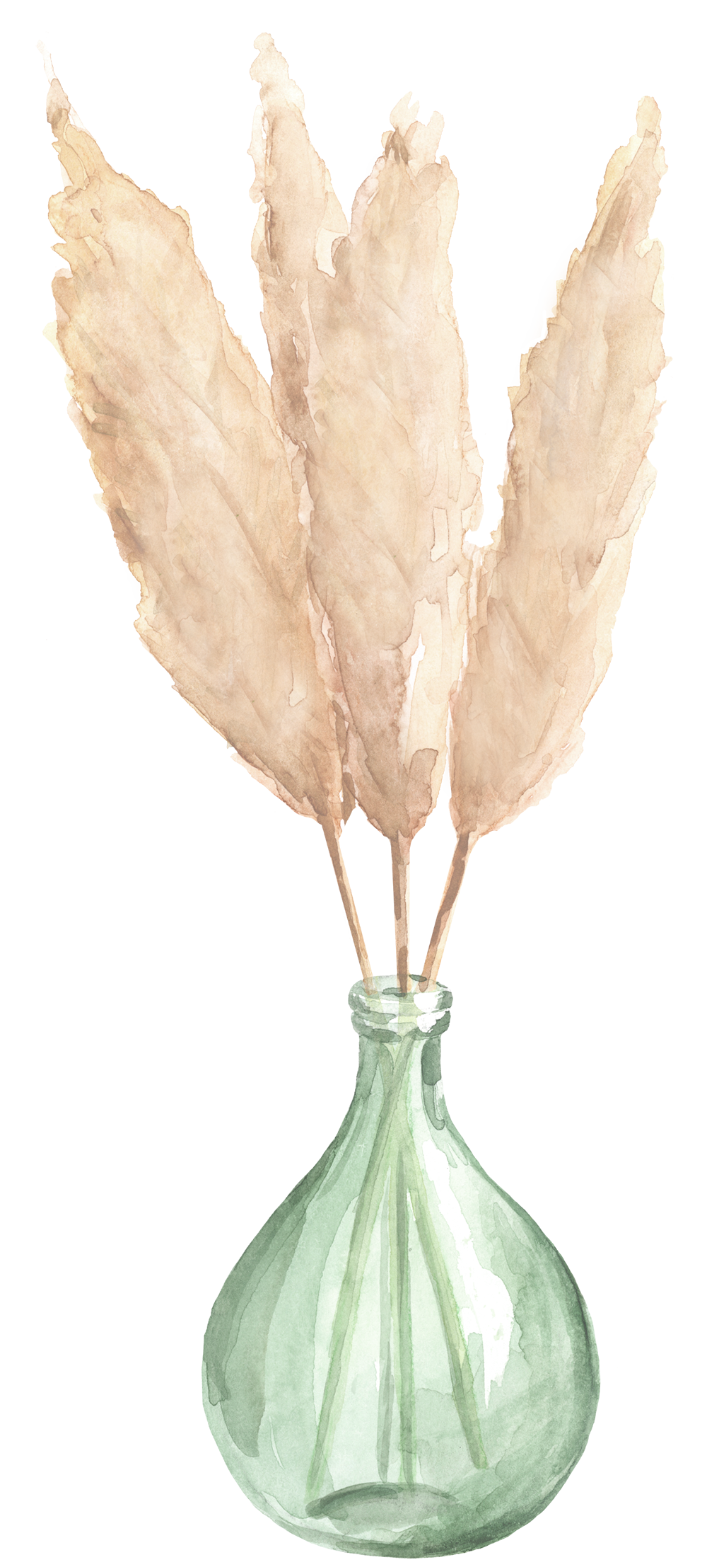 vase&pampas grass